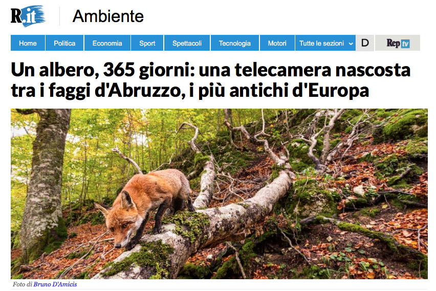 repubblica